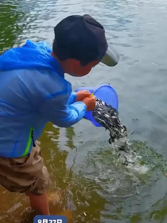 就在今天！37.2万尾土著鱼欢欢回归“母亲湖”