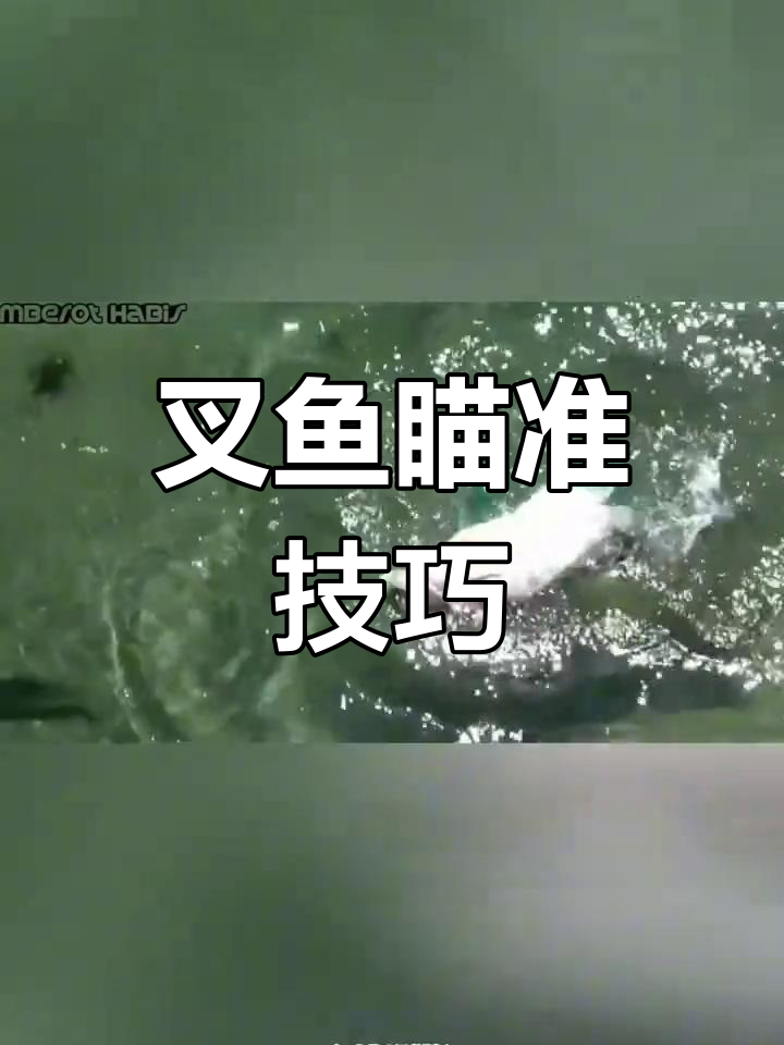 掌握射鱼技巧,轻松百发百中