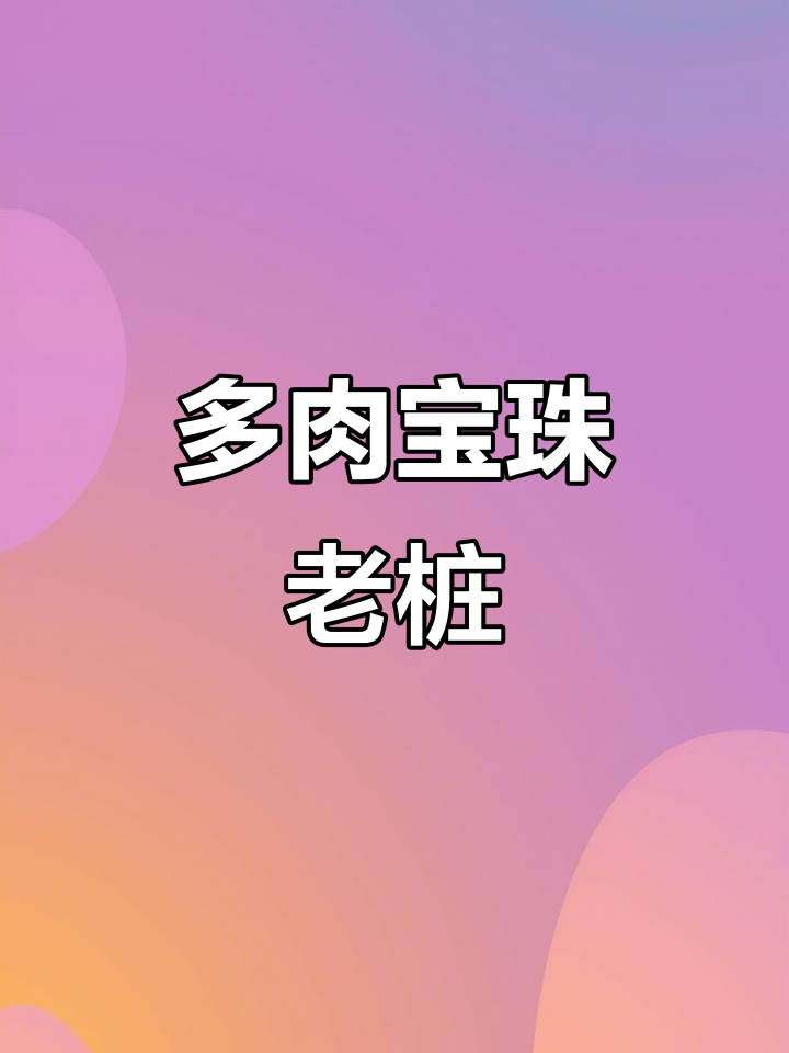 达摩宝珠：多肉植物老桩的魅力与养护技巧