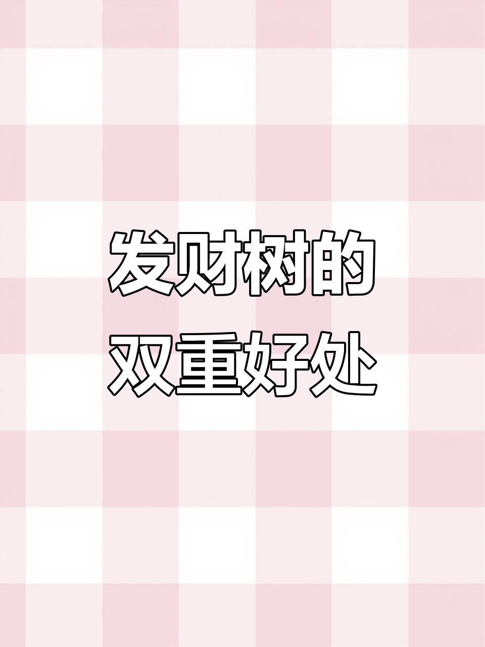家里放盆发财树,既净化空气又招财进宝,事业飞黄腾达!