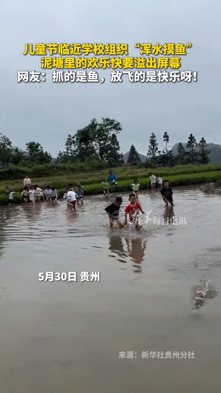 儿童节临近学校组织“浑水摸鱼”,泥塘里的欢乐快要溢出屏幕