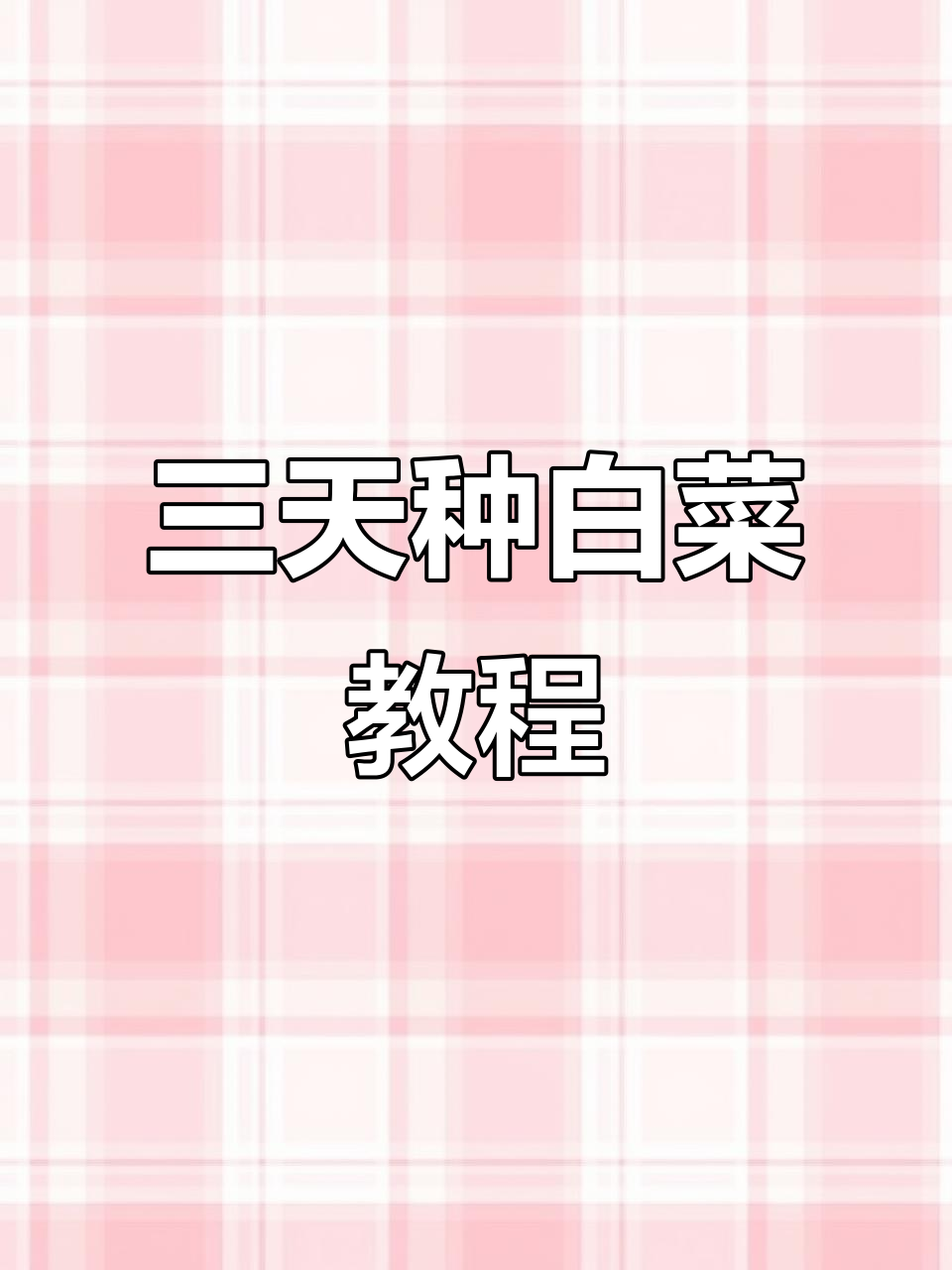 白菜种植全攻略:从清洗到发芽的三天变化