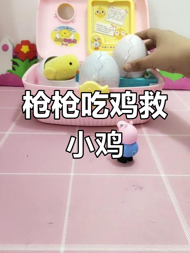 鸡宝宝去哪了?