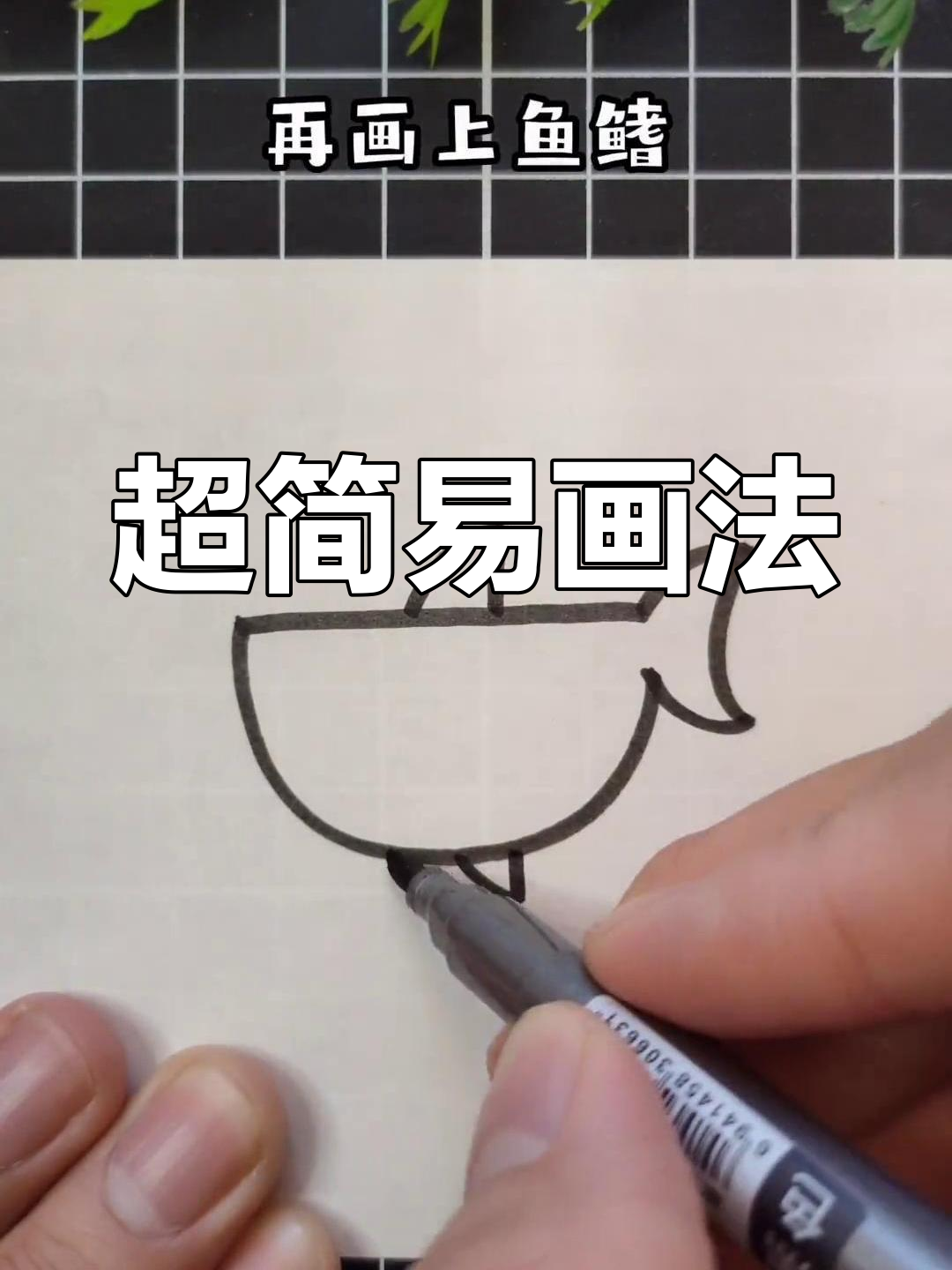 简单几步画出可爱鲨鱼