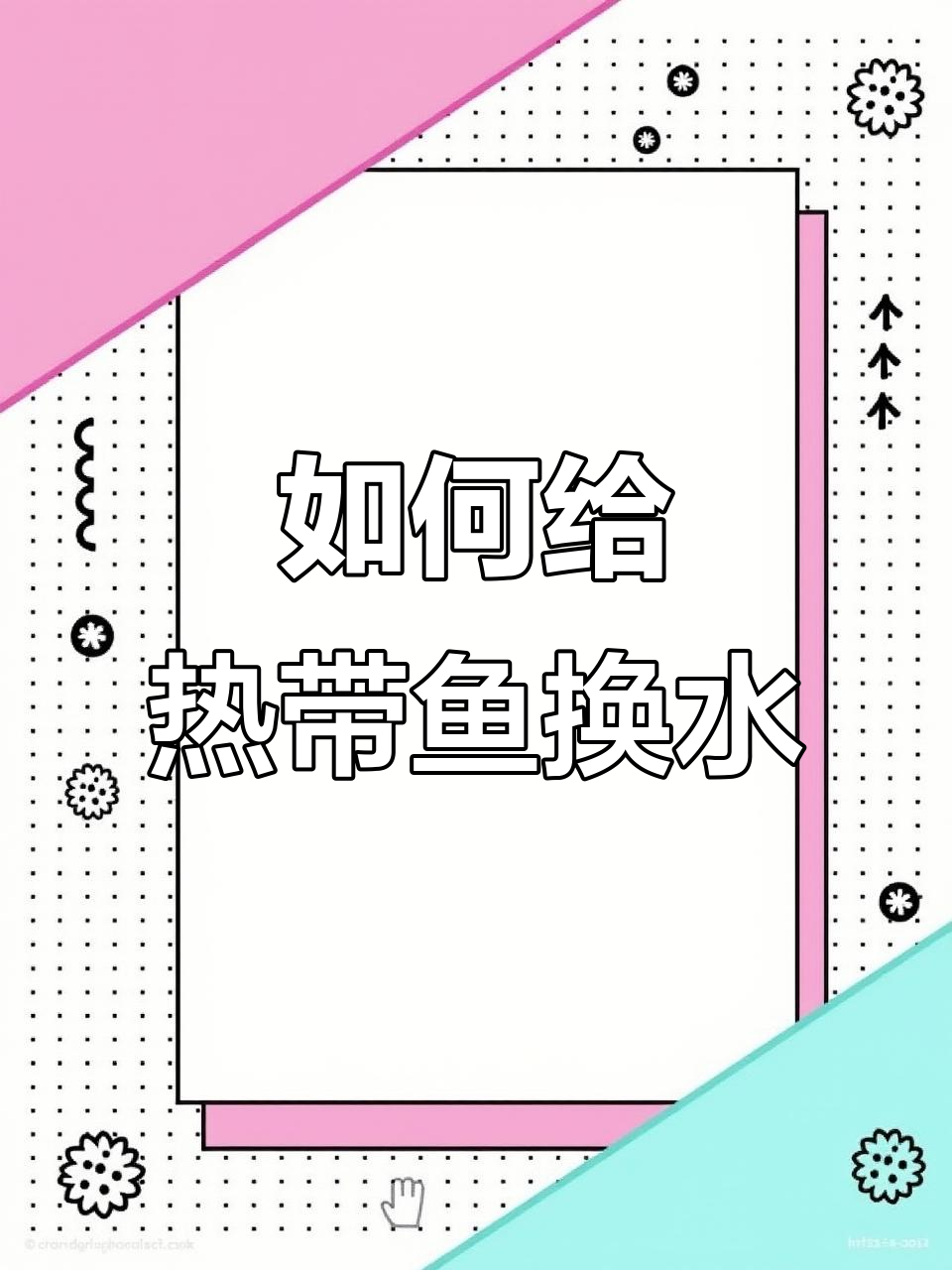 热带鱼换水频率与技巧，避免死鱼的正确做法