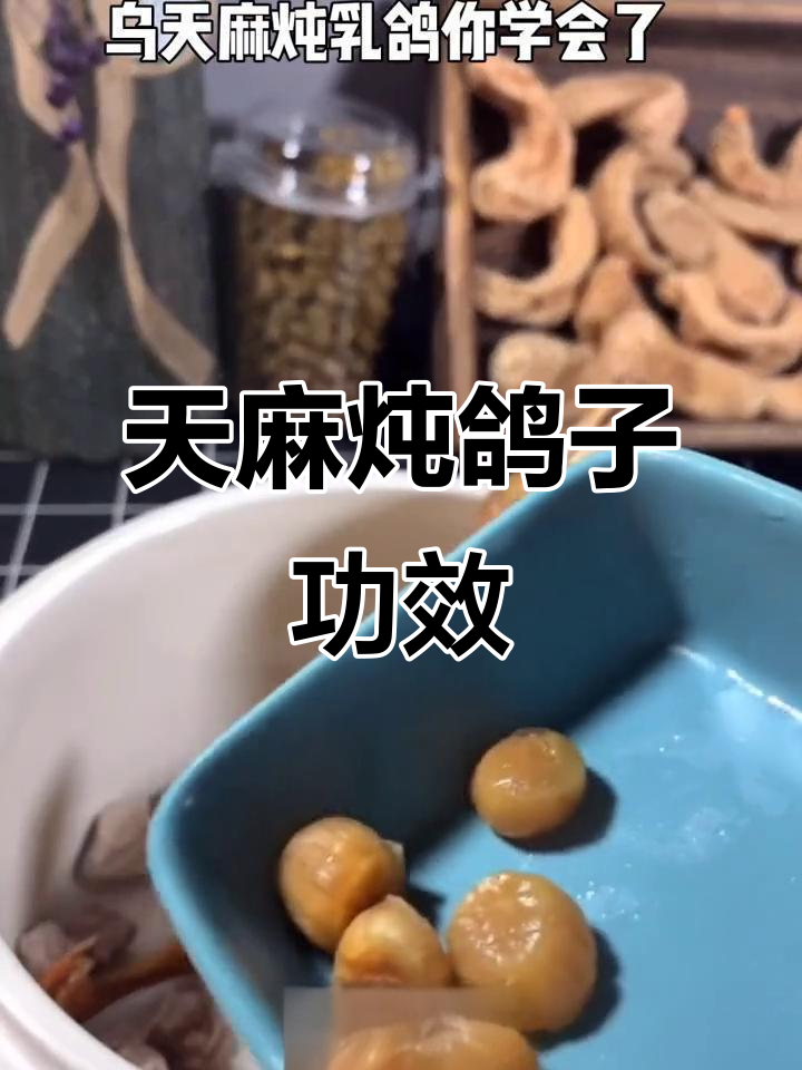 乌天麻炖乳鸽,滋补养生效果惊人!