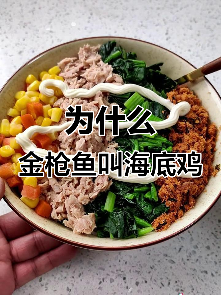 金枪鱼为何被称为“海底鸡”？揭秘营养与美味背后的秘密