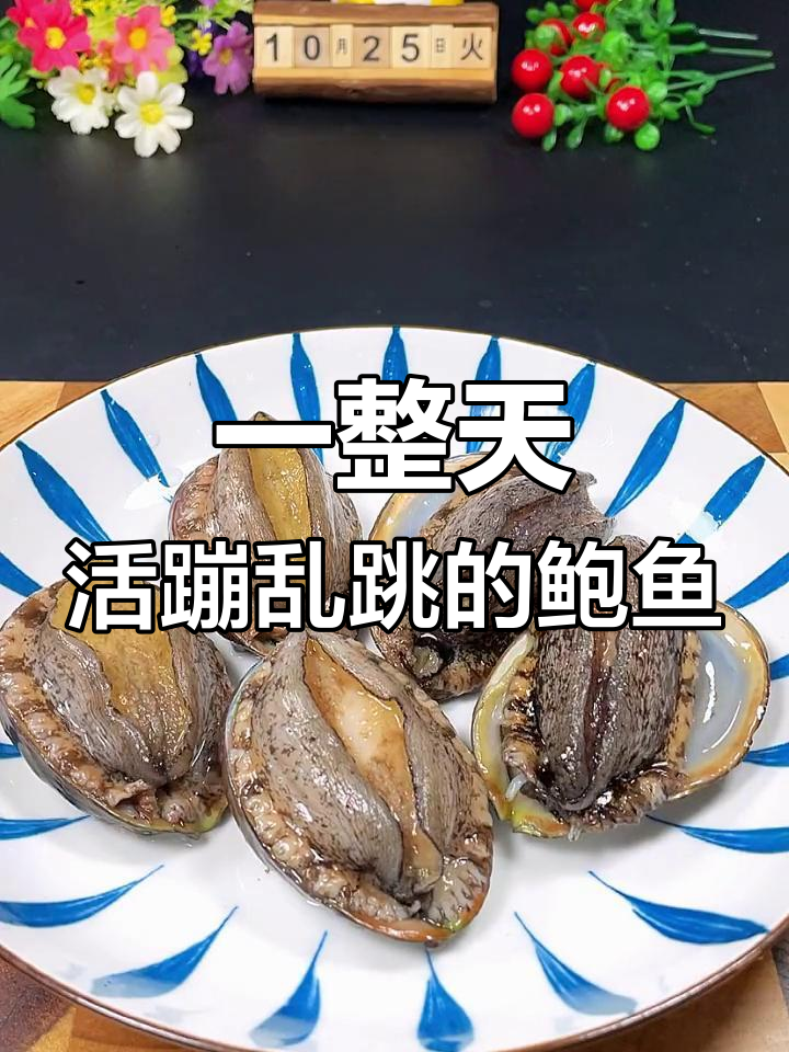 冰箱放一天,鲍鱼竟然还活着!