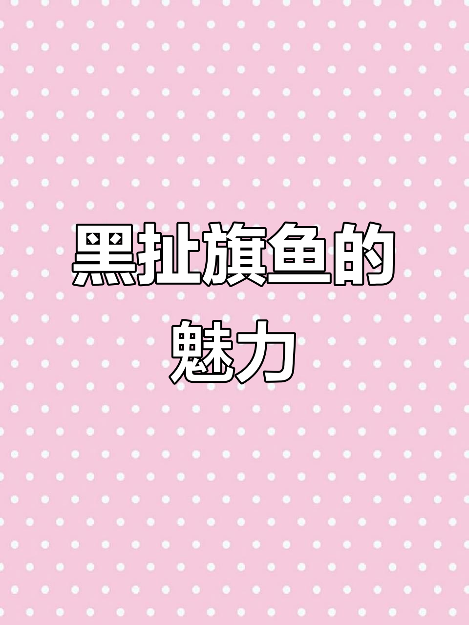黑扯旗鱼,背鳍如旗帜般飘动,饲养指南附后
