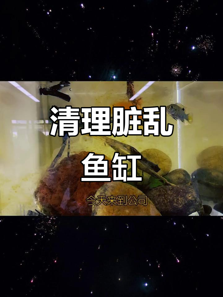 鱼缸清洁大作战,德克六合一套装轻松搞定