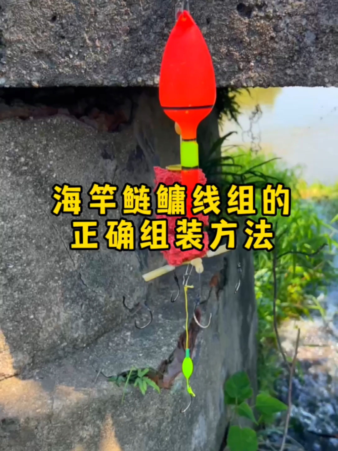 海竿钓鲢鳙的线组如何组装?