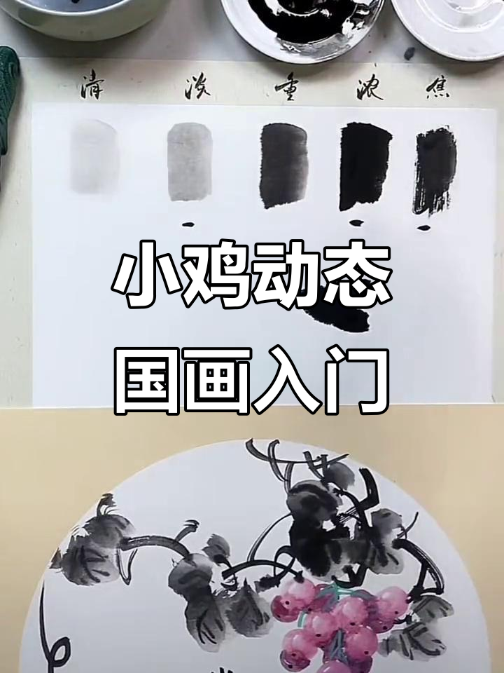 墨色变化妙笔生花,小鸡翅膀与肚皮轻松画