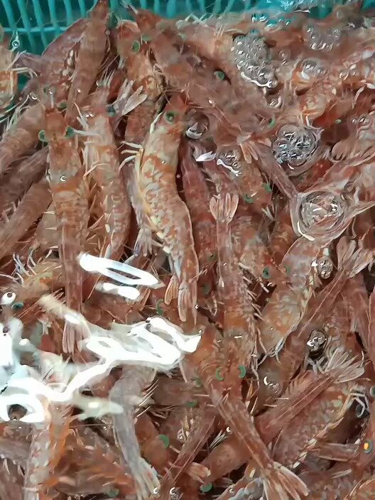 深海野生赤米虾