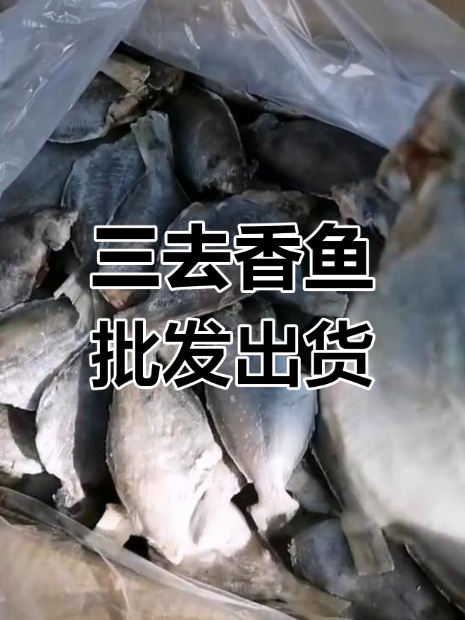 河南平顶山发货,深海三去香鱼批发,价格超实惠
