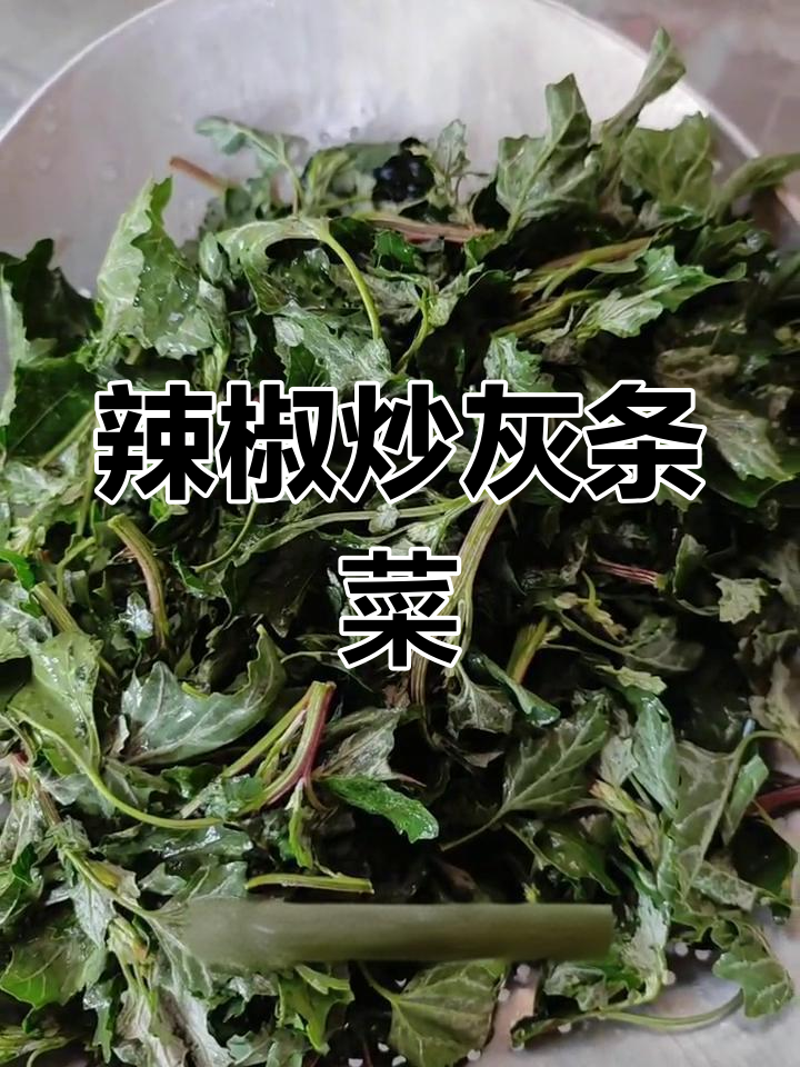 清洗灰条菜,爆香辣椒炒出美味野味