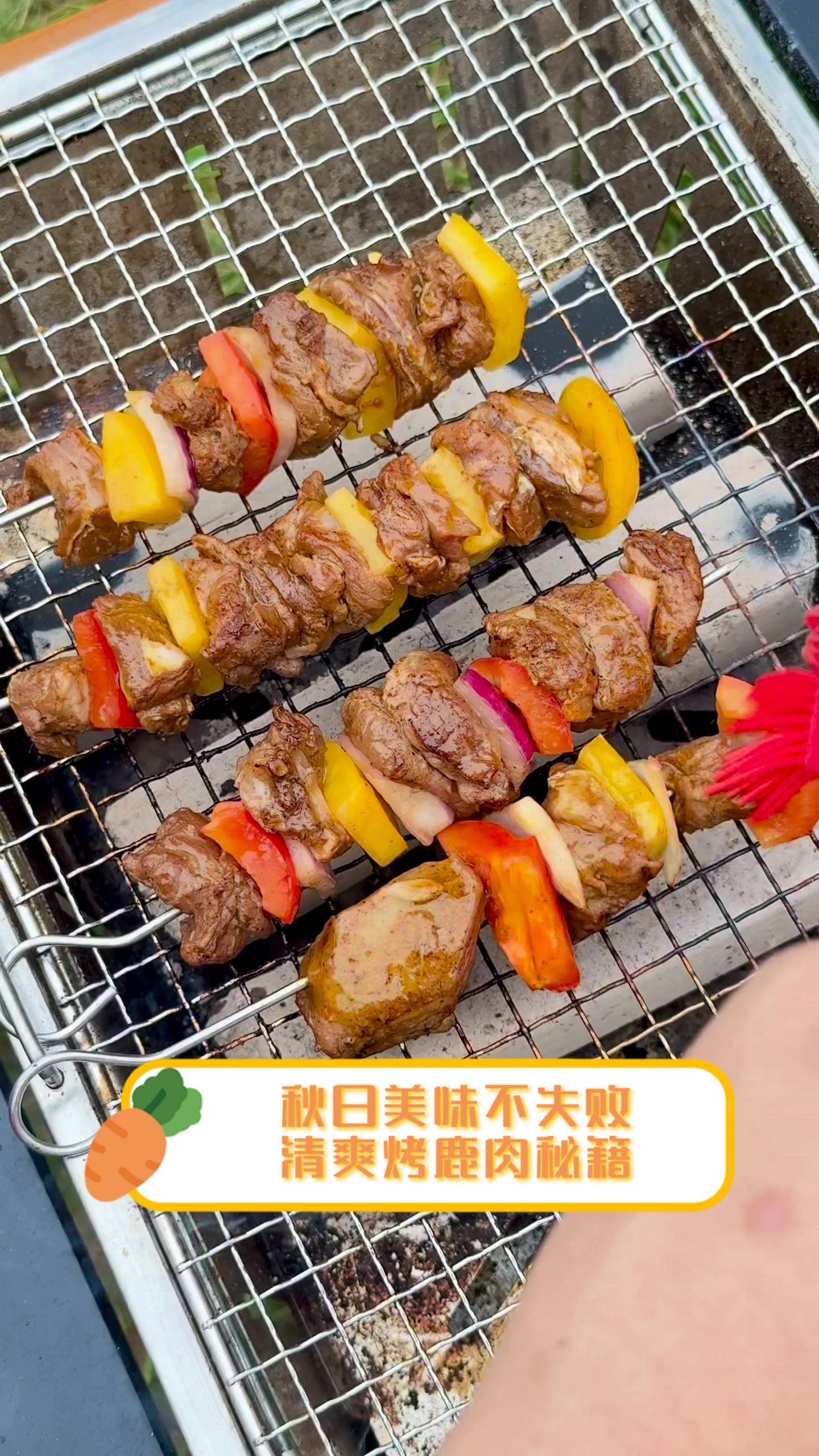 秋日美味不失败,清爽烤鹿肉秘籍