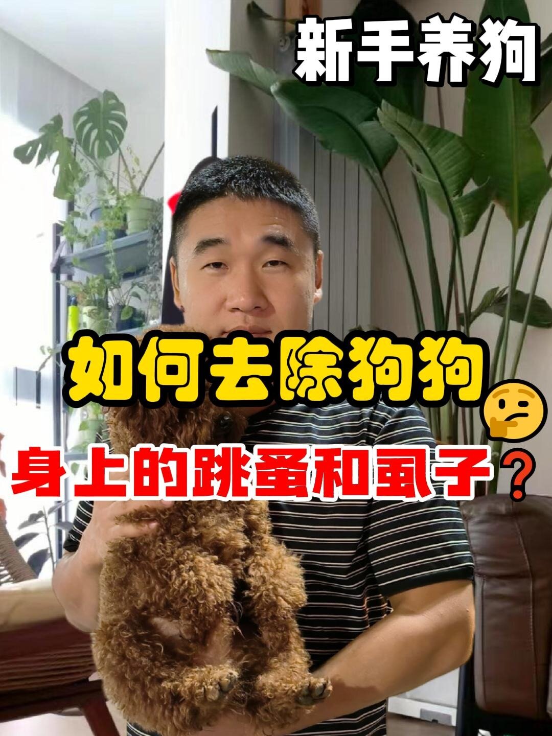 如何去出除狗狗身上的跳蚤和虱子