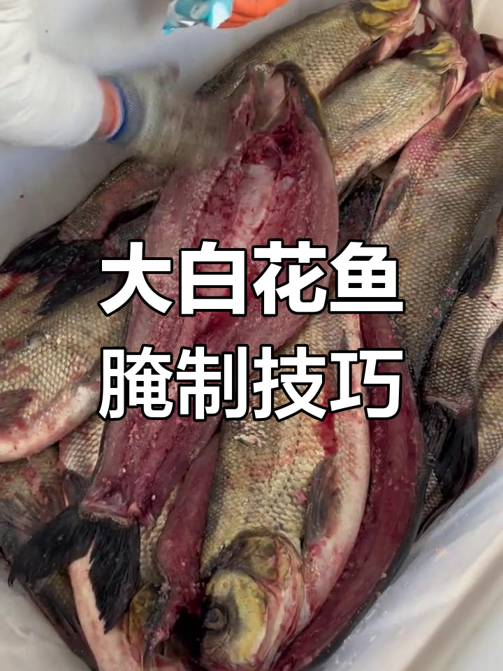 千岛湖大白花鱼干,盐腌工艺真不简单