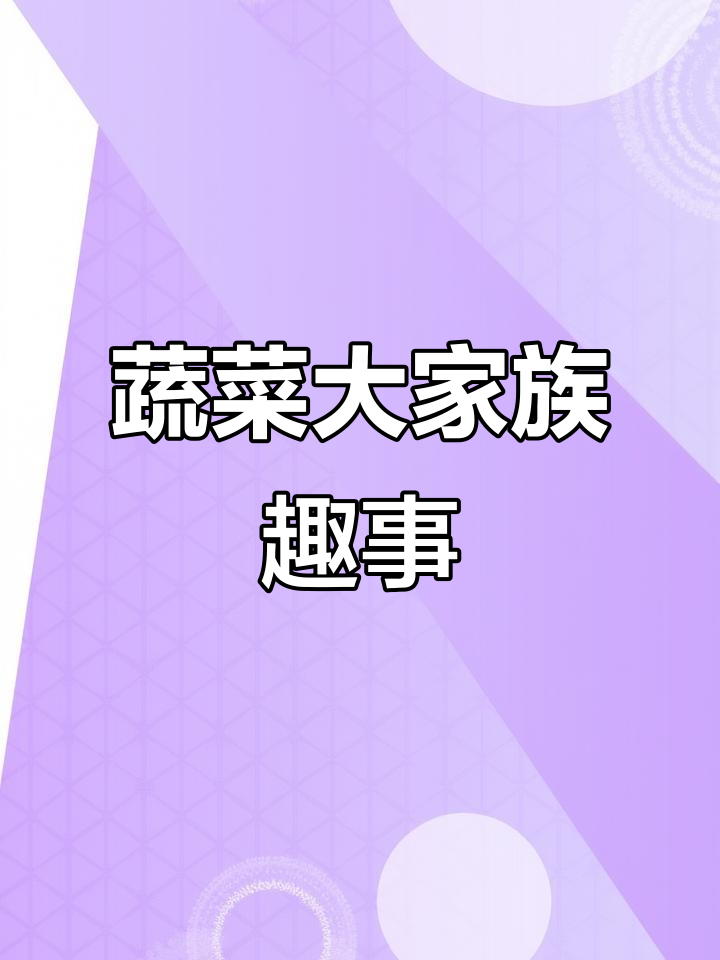 蔬菜家族大冒险，宝宝和爸爸的搞笑日常