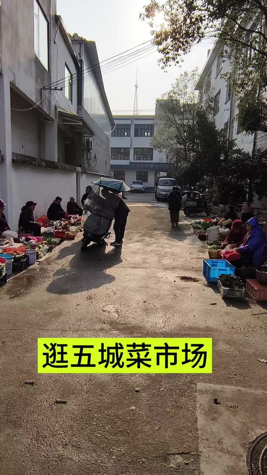 灌五成菜市场，农村老人自种干菜，砍价太上头！