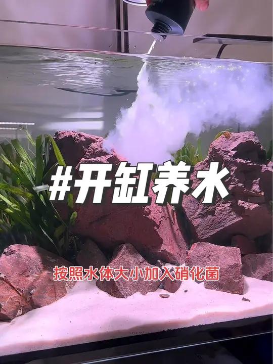一体底滤缸开缸养水、一周左右就可以下鱼啦 鱼缸里的大自然 水族器材 养鱼养心 鱼缸过滤 过