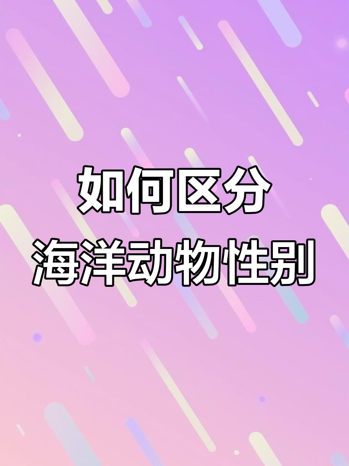 分辨海洋生物性别的小技巧,章鱼、海马和鱿鱼的辨别方法