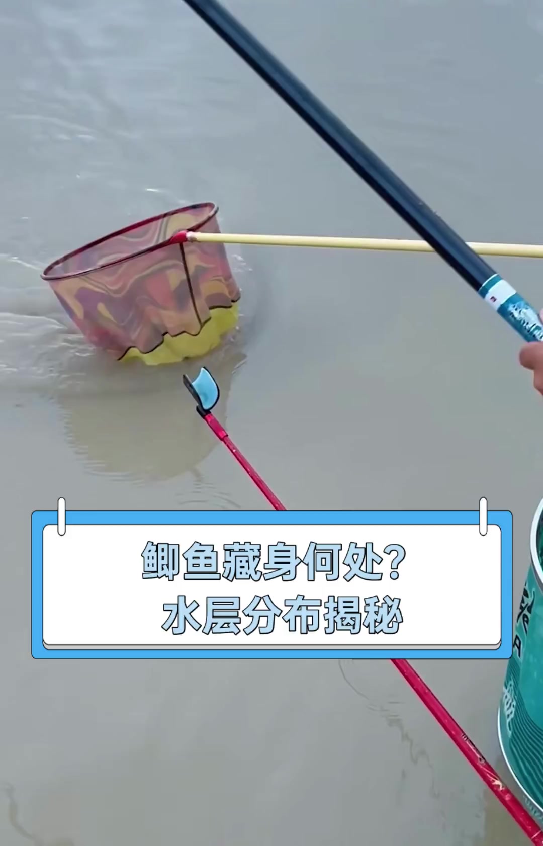 鲫鱼藏身何处?水层分布揭秘