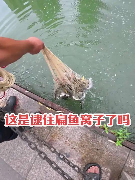 扁鱼大暴网来了,吃鱼没有打鱼乐,上鱼瞬间感觉开心的不得了,兄弟们你们那都有什么鱼?我们这边