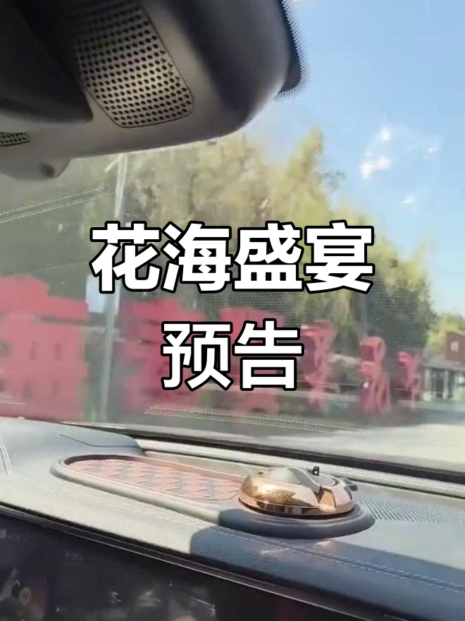 3月21日,庄行菜花节免费开放,精彩活动提前揭秘!