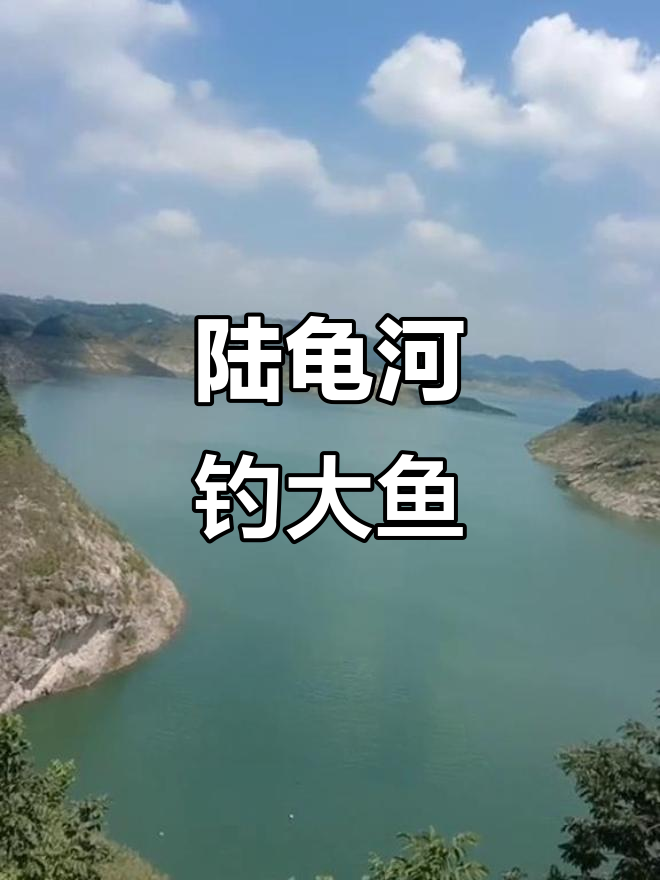 贵州陆龟河钓鱼之旅,回龙鱼美味来袭