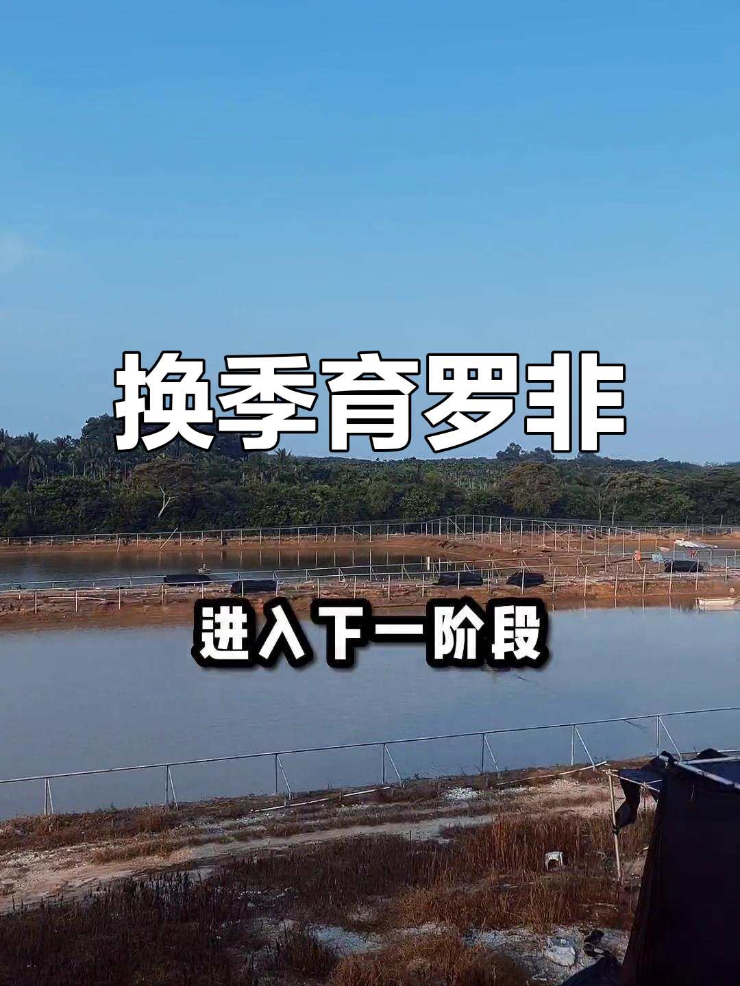 罗非鱼苗场换季，为培育优质幼苗拆除遮光网