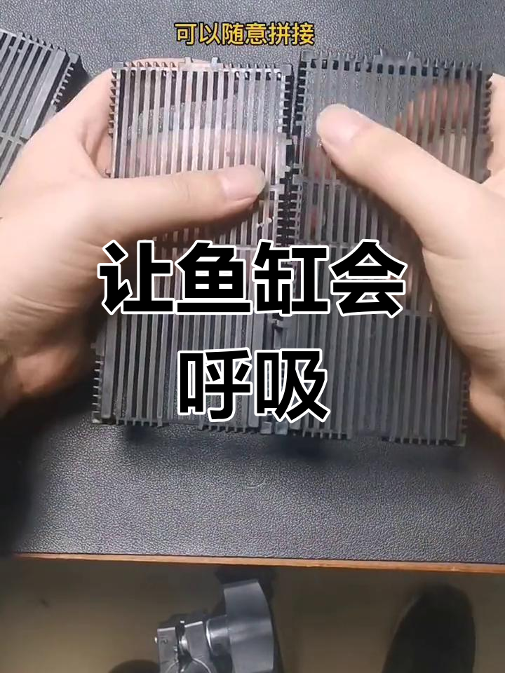 鱼缸底滤系统,打造自然生态