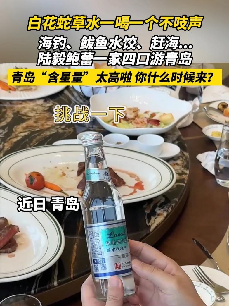 白花蛇草水一喝一个不吱声，海钓、鲅鱼水饺、赶海……陆毅鲍蕾一家四口游青岛，青岛“含星量”太