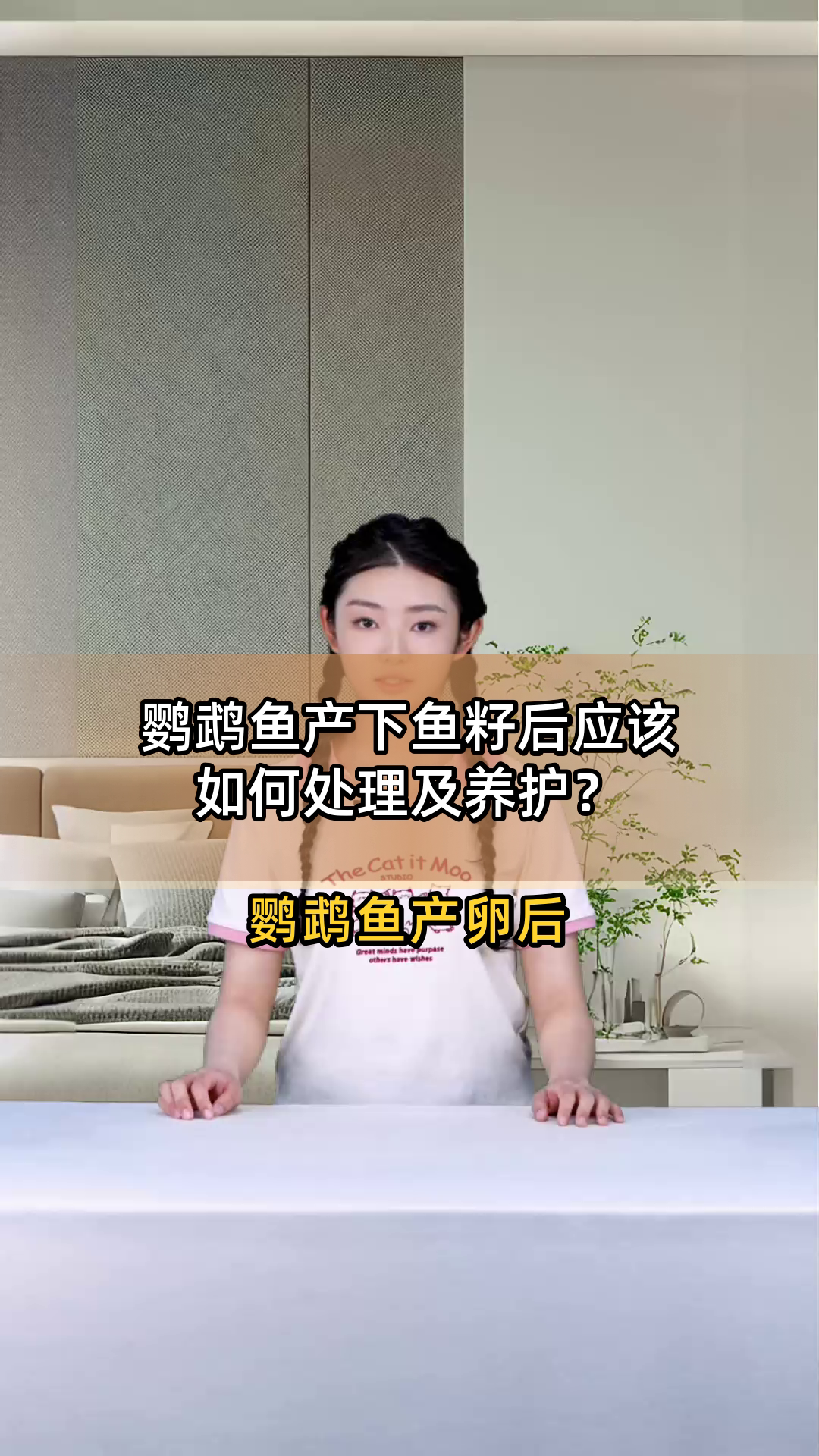 鹦鹉鱼产下鱼籽后应该如何处理及养护?