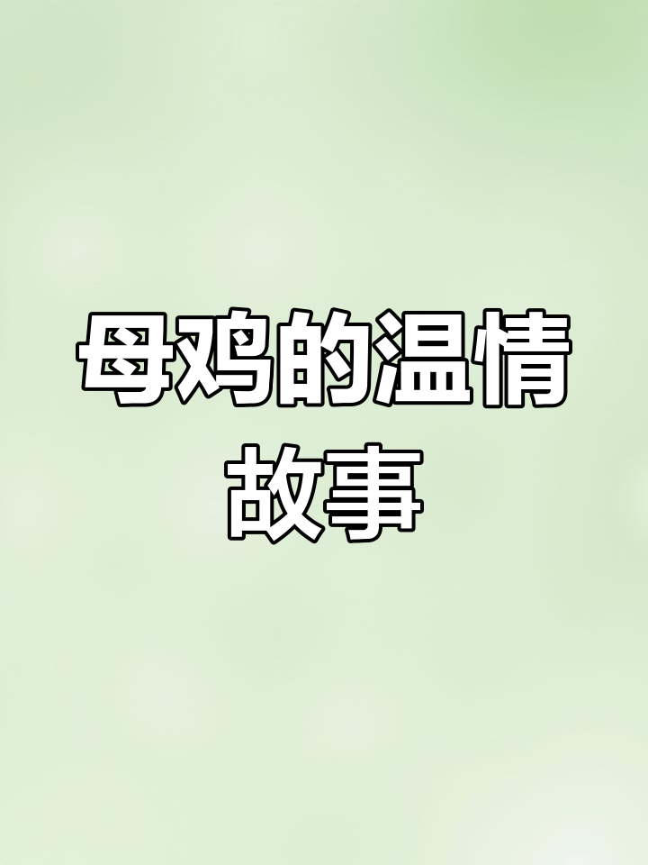 母鸡的辛劳与温暖,小古文《慈鸡》解读