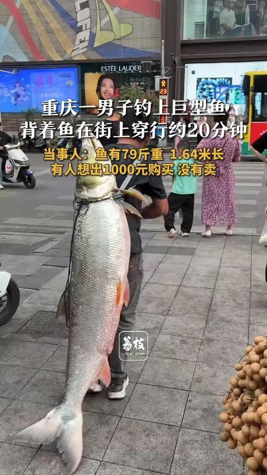重庆一男子钓上巨型鱼 背着鱼在街上穿行约20分钟 当事人:鱼有79斤重 1.64米长 有人