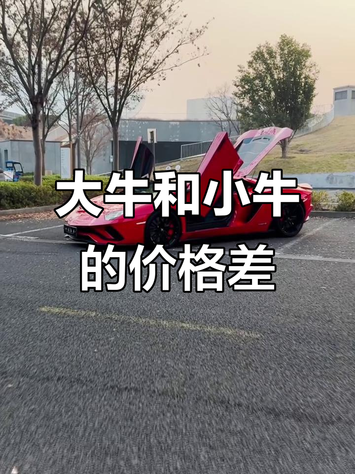 兰博基尼大牛740S与小牛价格相同,性能差距有多大?