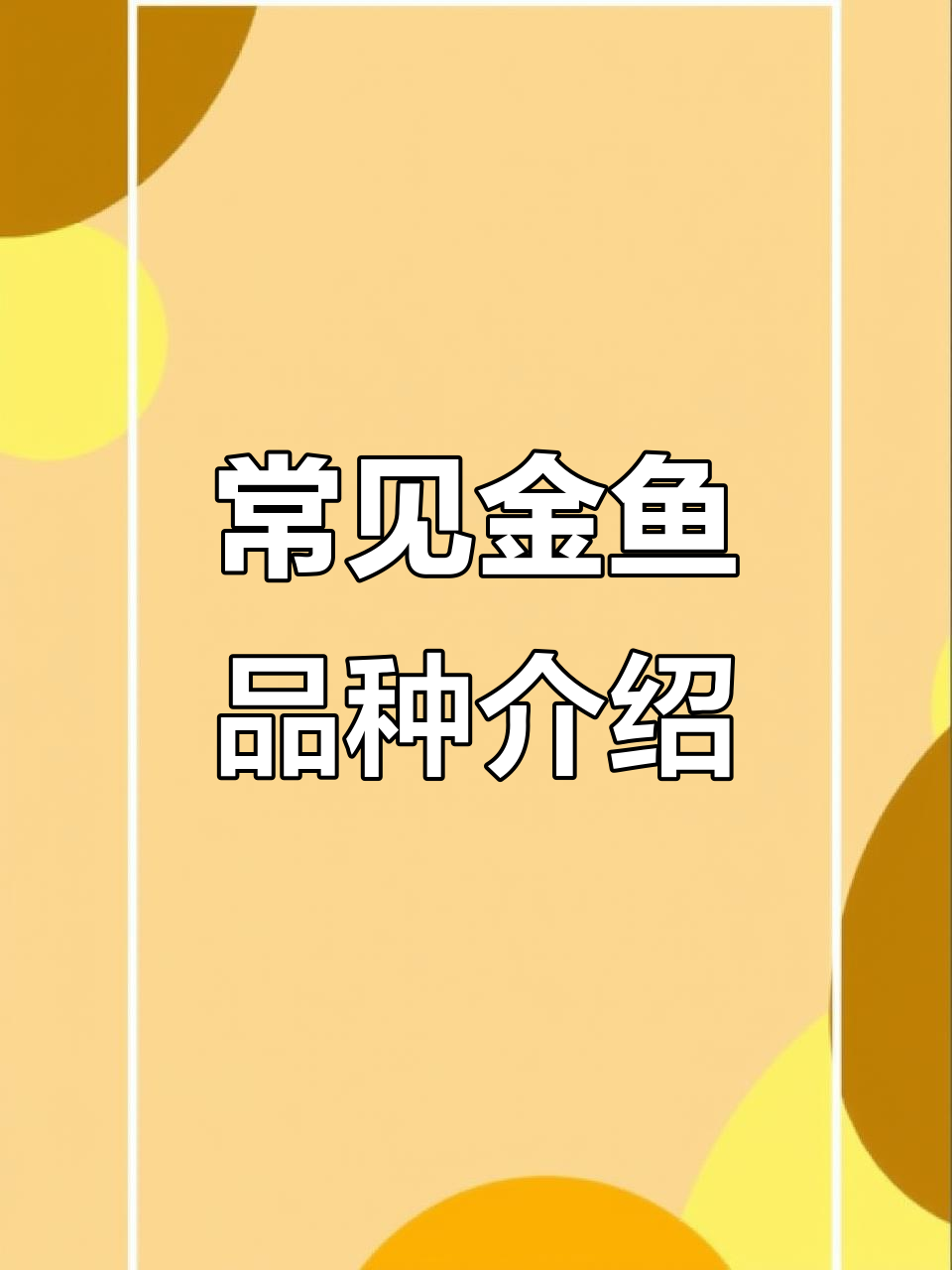 金鱼品种大揭秘:文种与蛋种的魅力对比