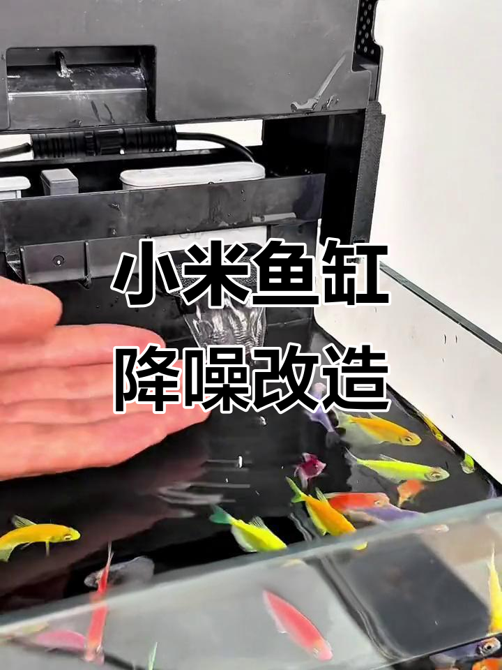 小米鱼缸瀑布出水口改装,降低噪音提高溶氧量