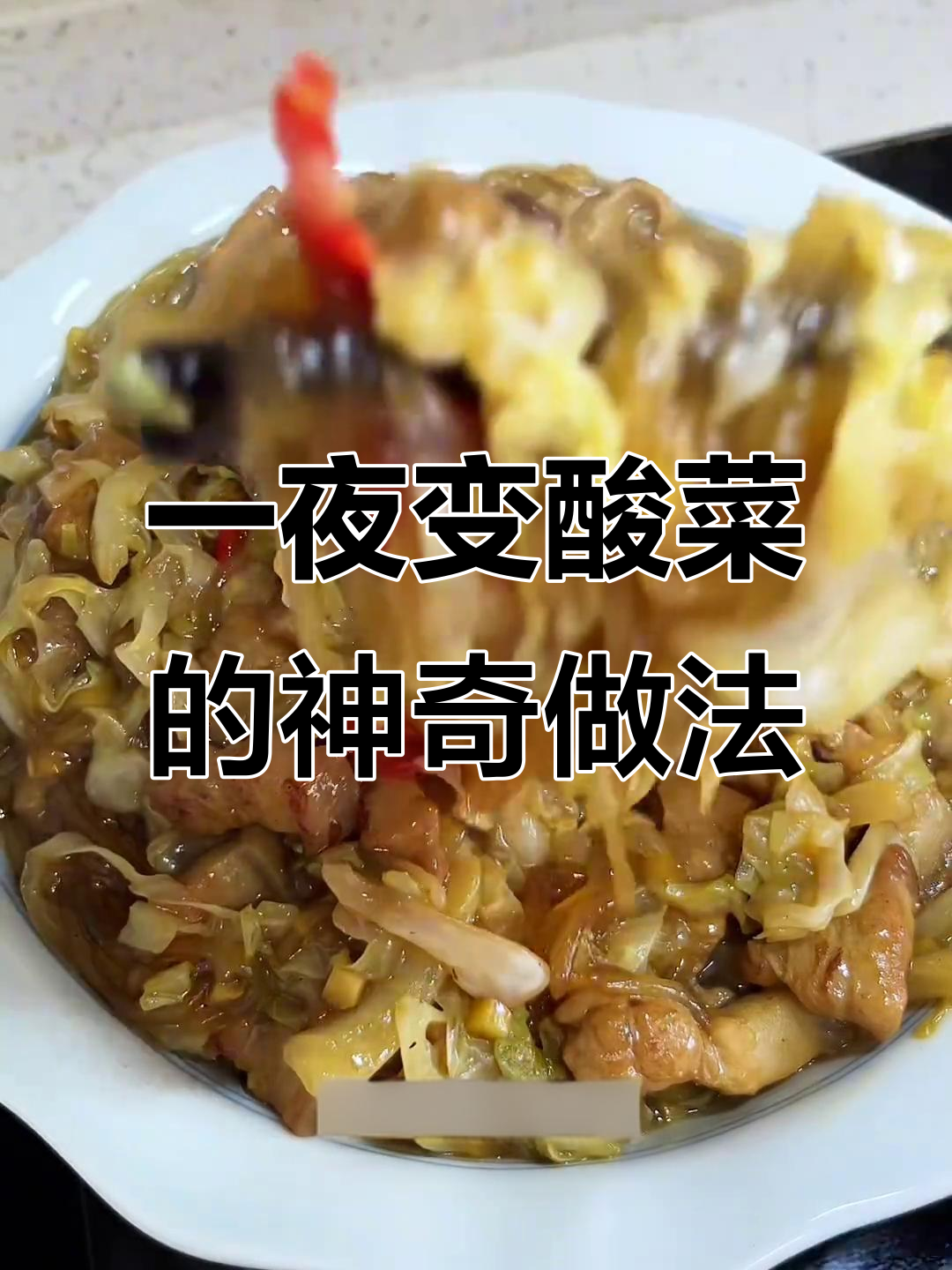 包菜泡一夜变酸菜,炖粉条猪肉太香了
