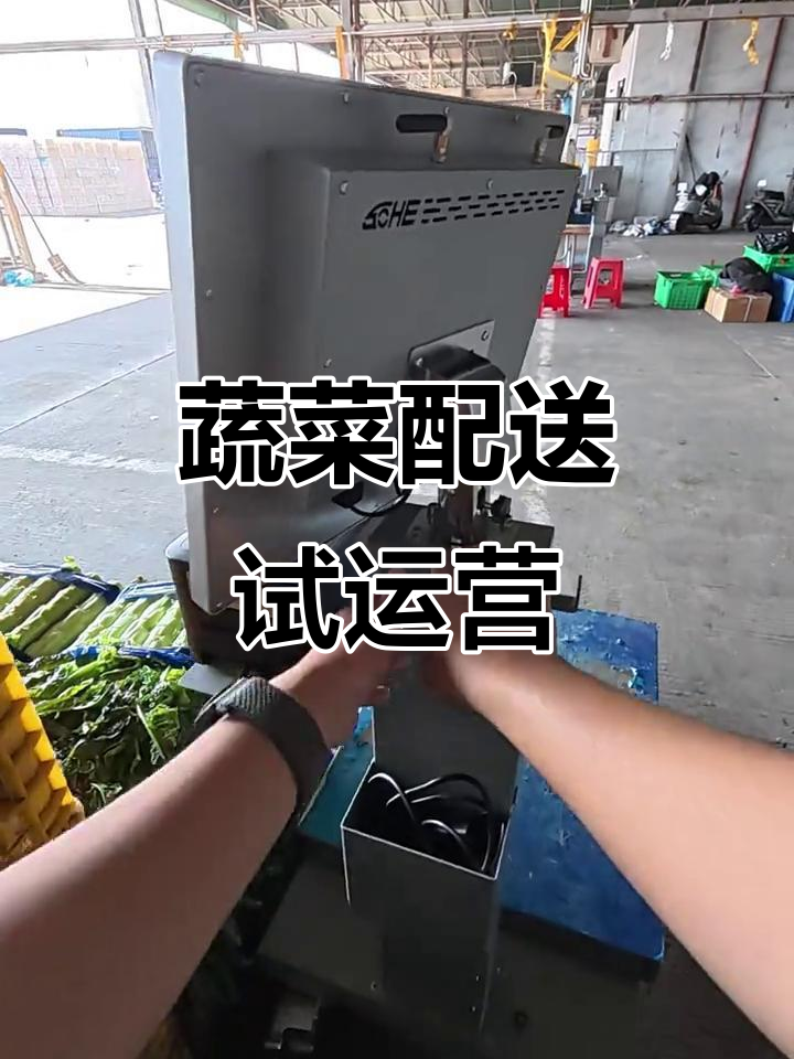 蔬菜批发试营业,分拣工作忙不停