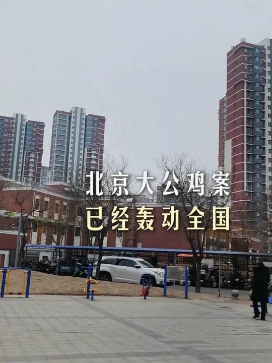 这就是轰动京城的次渠嘉园大公鸡案