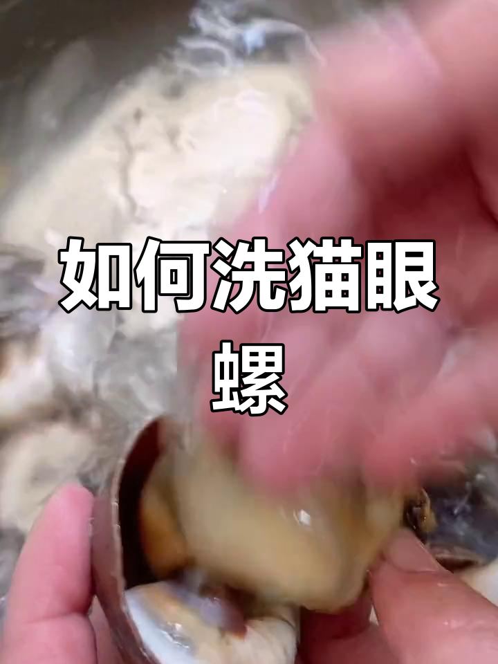 猫眼螺清洗全攻略,轻松去沙