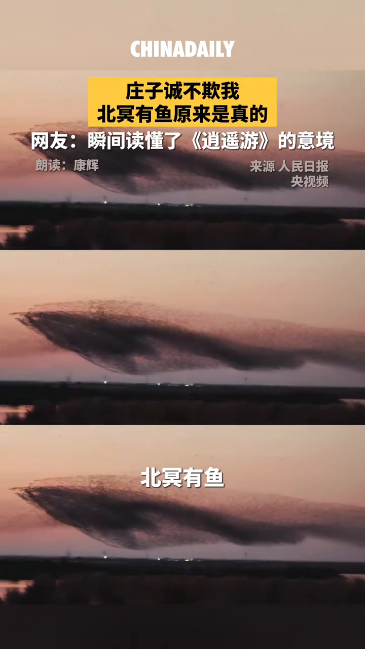 北冥有鱼在此刻具像化了!鸟浪如潮涌,齐飞似星河