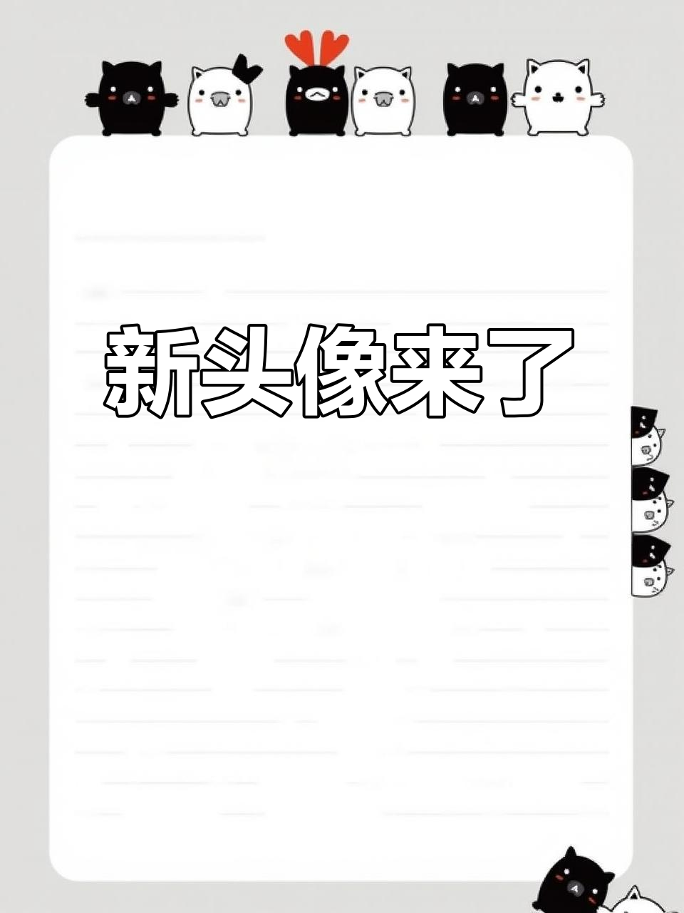 小鲨鱼换新头像了?快来看看吧!