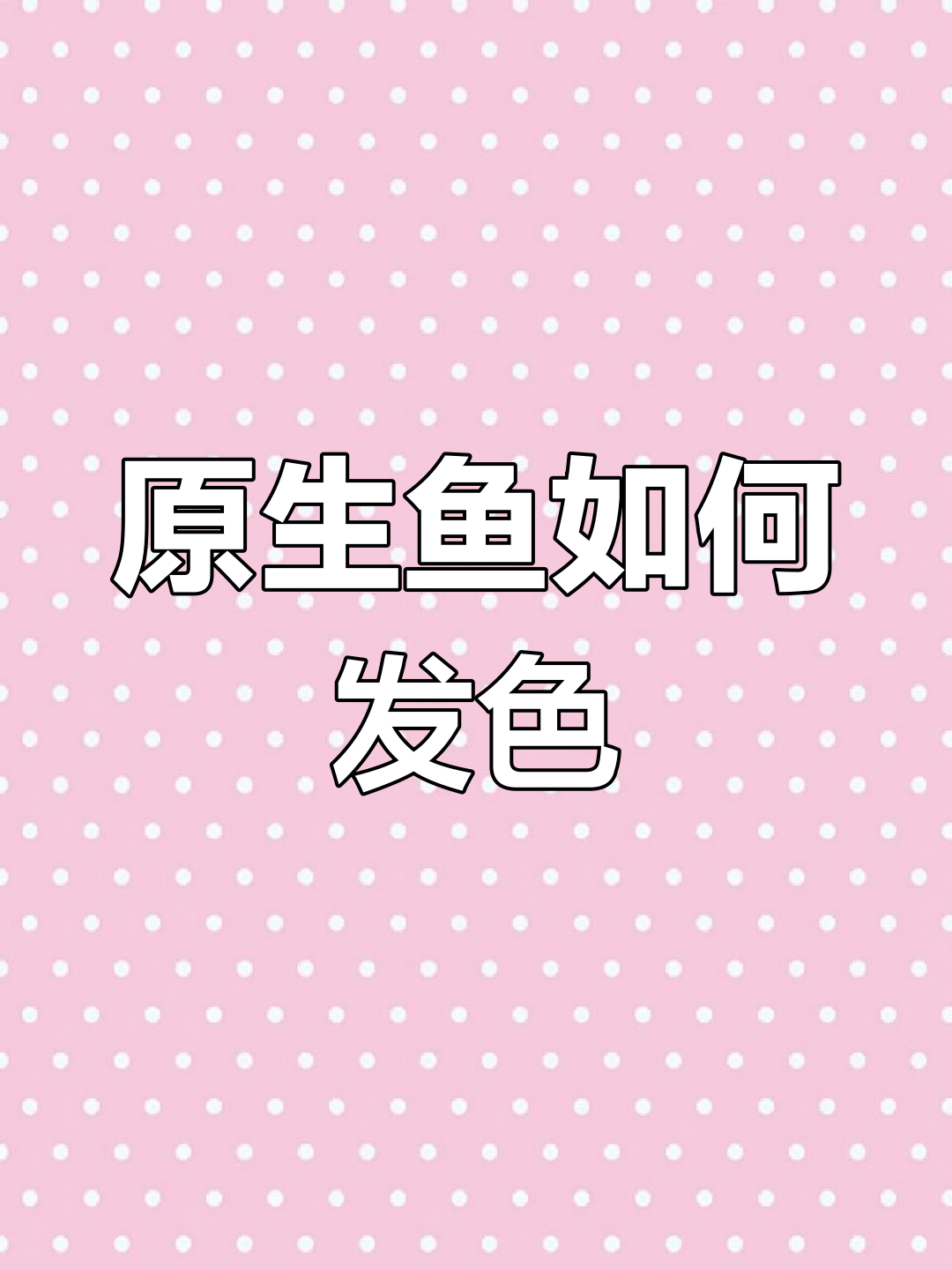 如何促进原生鱼发色