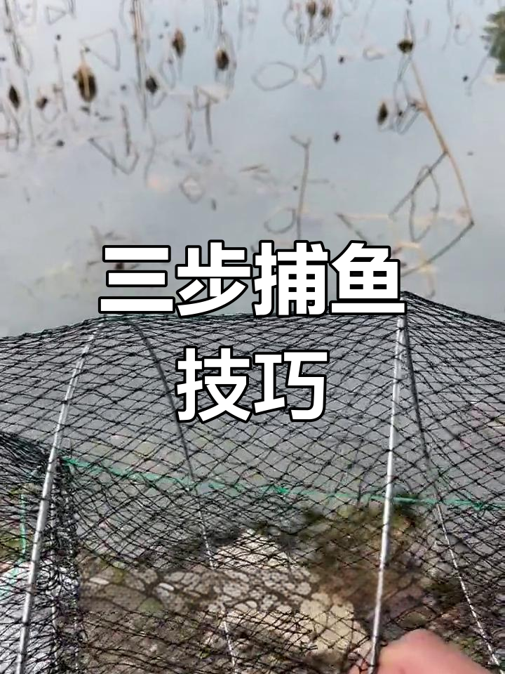 捕鱼轻松三步,选对位置最重要!甲鱼可挂猪肝增加吸引力