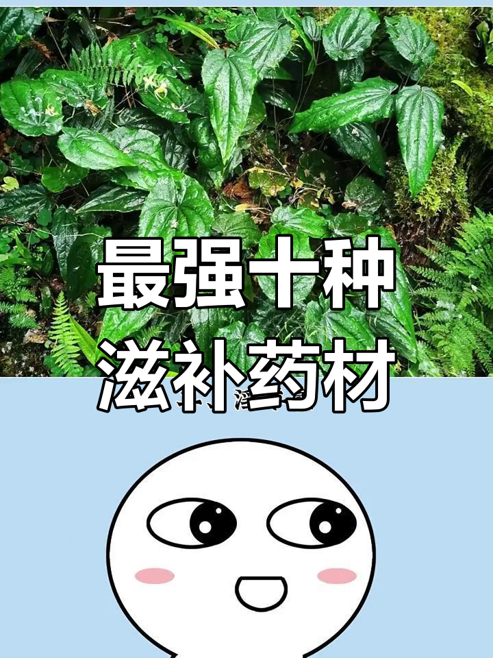 十大最补中药材,你了解吗?