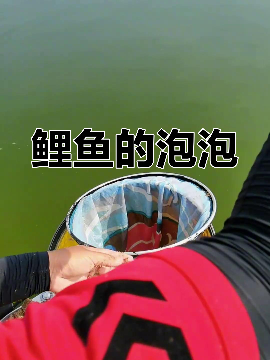 鲤鱼吐泡的真相揭秘