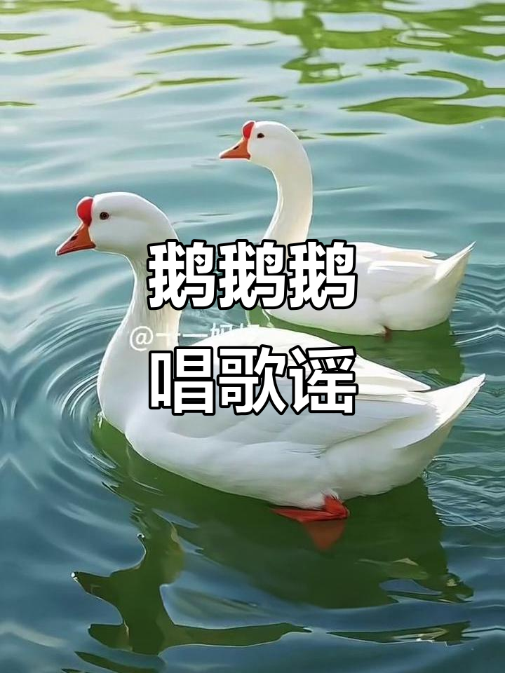 鹅鹅鹅,曲颈向天歌:儿歌动画趣味演绎